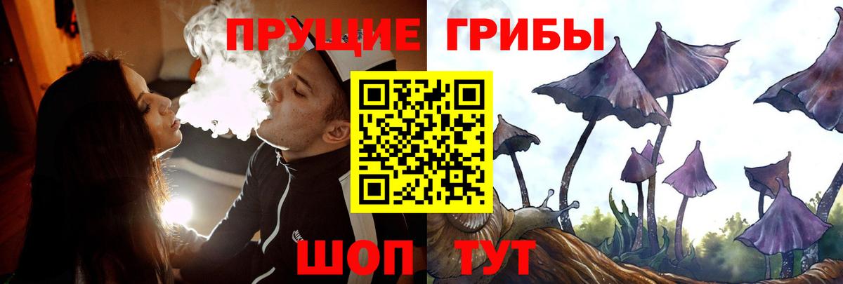 Заводоуковск  Псилоцибиновые грибы мицелий  Псилоцибиновые грибы Cubensis  Вход с VPN 